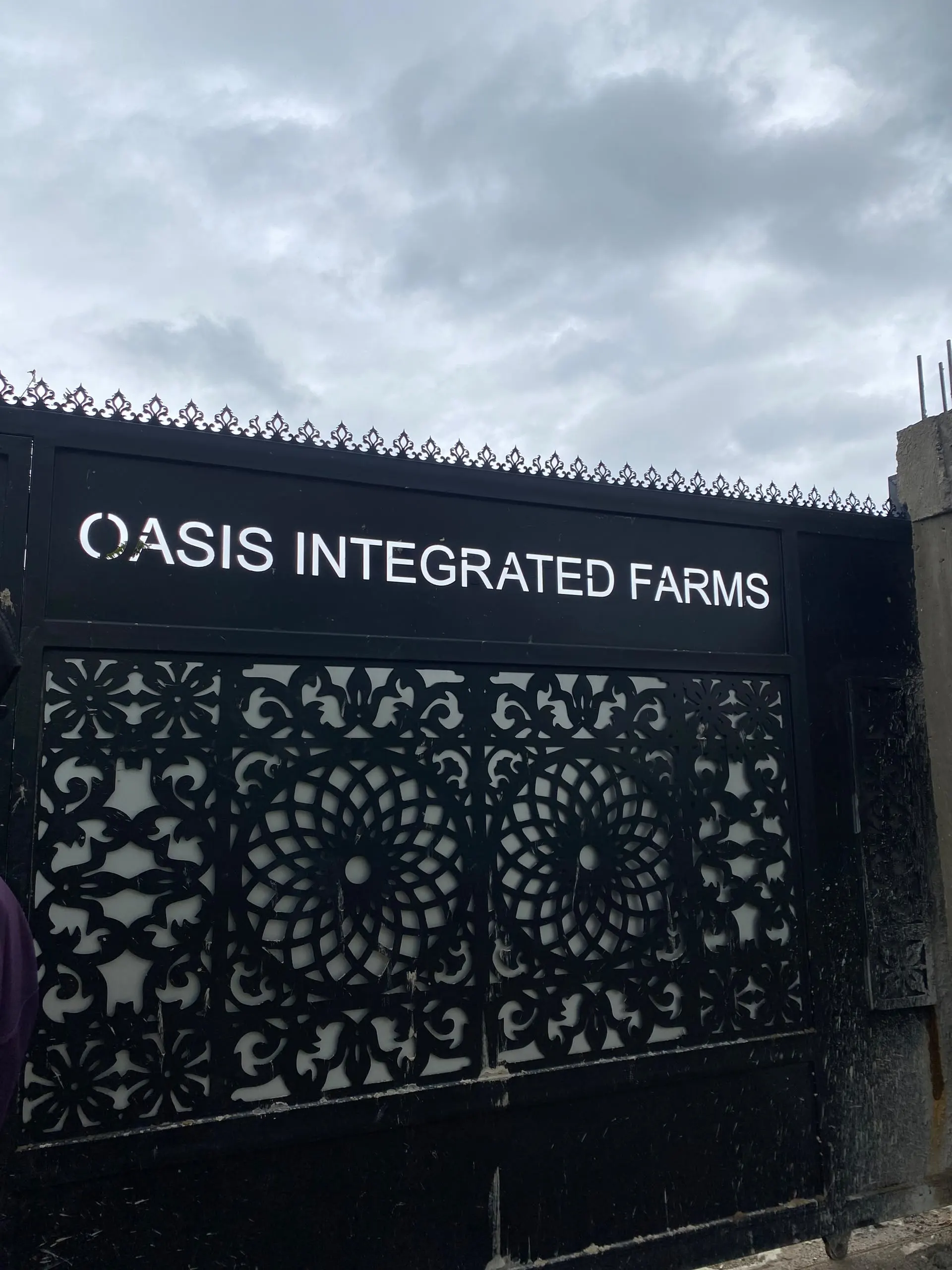 The entrance gate at Oasis Integrated Farms, the farm's name lettered across the sign above it.